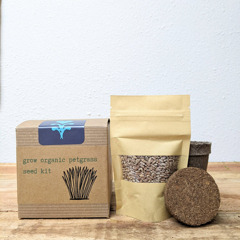 Grow Organic Petgrass Seed Kit